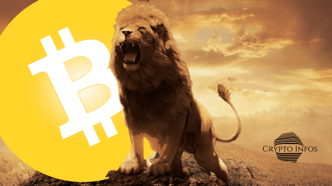 BTC Upcoming awakening