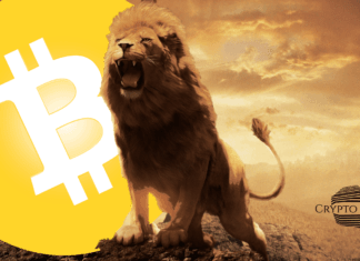 What you need to know about Bitcoin’s awakening