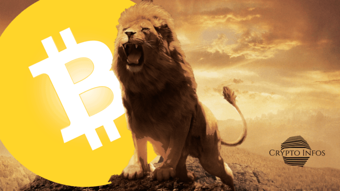 What you need to know about Bitcoin’s awakening