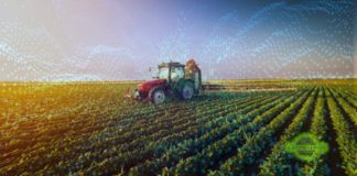Blockchain Foundations for the Agro-food sector AgroFood Blockchain