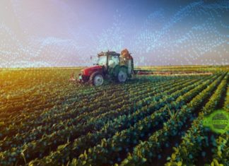Blockchain Foundations for the Agro-food sector AgroFood Blockchain