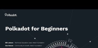 What is Polkadot? A Beginners Guide and Intro to Blockchain