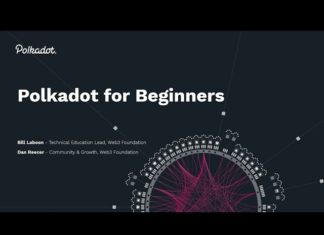 What is Polkadot? A Beginners Guide and Intro to Blockchain