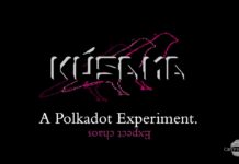 What is Kusama? Polkadot