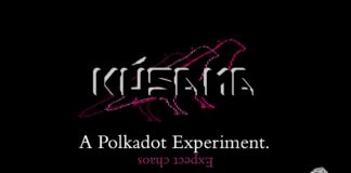 What is Kusama? A Review and Short Analysis What is Kusama? Polkadot