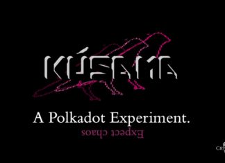 What is Kusama? A Review and Short Analysis What is Kusama? Polkadot