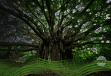 Blockchain and Scalability – What solution does Layer 2 offer? Blockchain Scalability