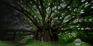 Blockchain and Scalability – What solution does Layer 2 offer? Blockchain Scalability