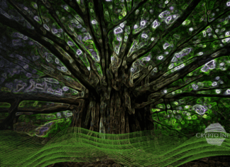 Blockchain and Scalability – What solution does Layer 2 offer? Blockchain Scalability